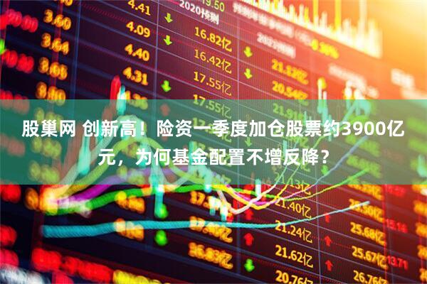 股巢网 创新高！险资一季度加仓股票约3900亿元，为何基金配置不增反降？