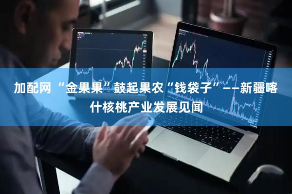 加配网 “金果果”鼓起果农“钱袋子”——新疆喀什核桃产业发展见闻
