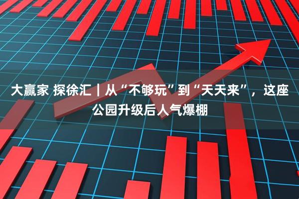 大赢家 探徐汇｜从“不够玩”到“天天来”，这座公园升级后人气爆棚