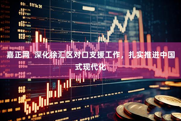 嘉正网  深化徐汇区对口支援工作，扎实推进中国式现代化