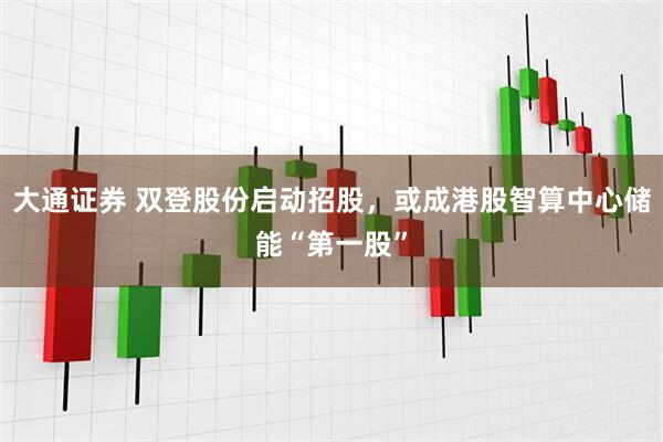 大通证券 双登股份启动招股，或成港股智算中心储能“第一股”