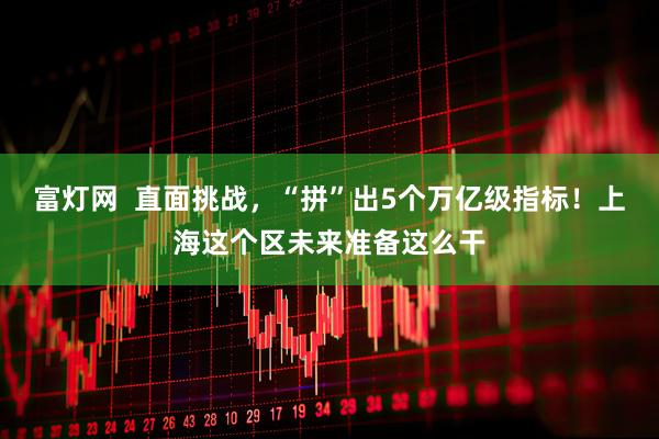 富灯网  直面挑战，“拼”出5个万亿级指标！上海这个区未来准备这么干