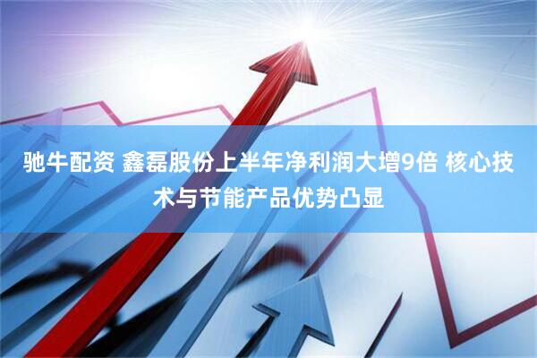 驰牛配资 鑫磊股份上半年净利润大增9倍 核心技术与节能产品优势凸显
