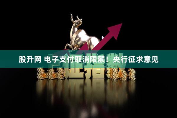 股升网 电子支付取消限额！央行征求意见